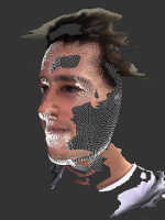 hybrid face recognition